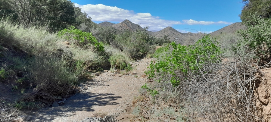 Commercial Property for Sale in Montagu Rural Western Cape